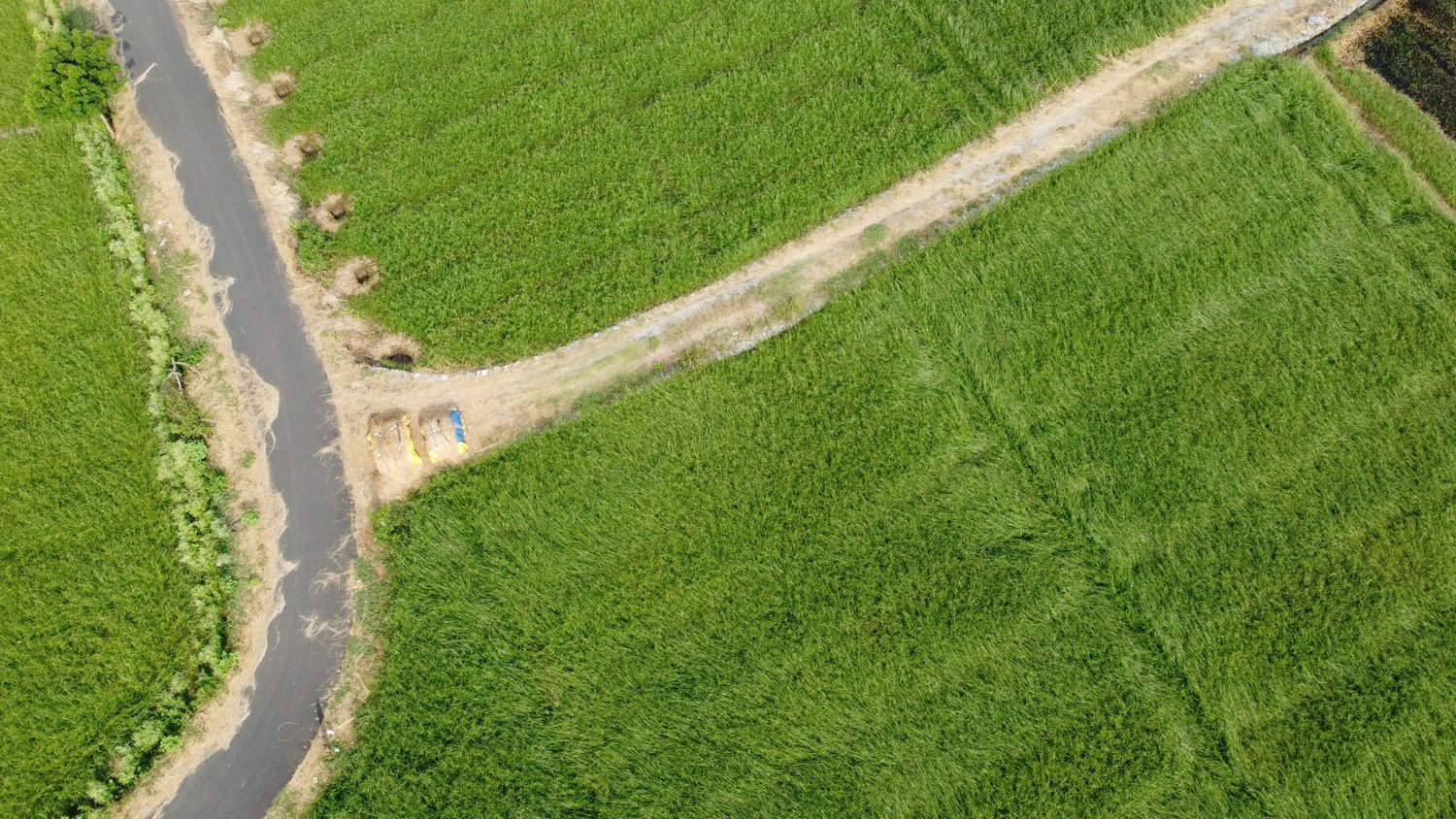 Carbon project development — agricultural fields