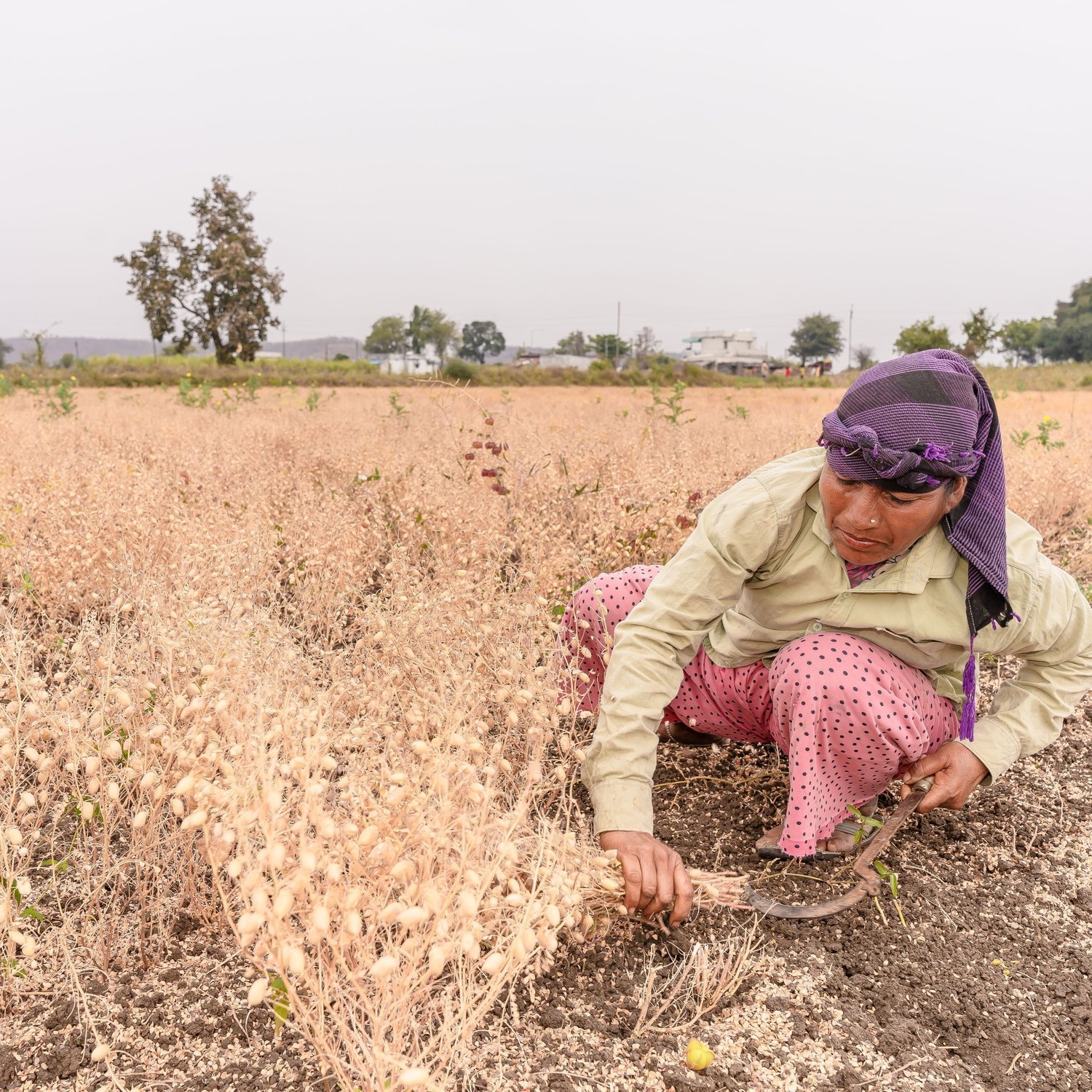 Regenerative farming practices — farmer in field
