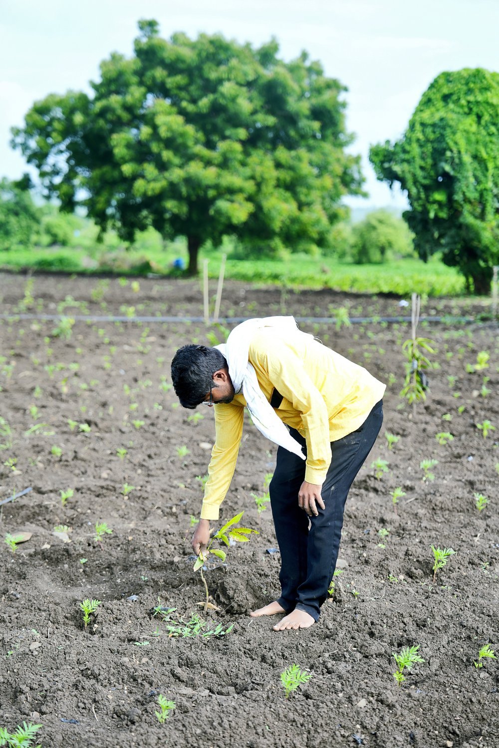 Field data collection
