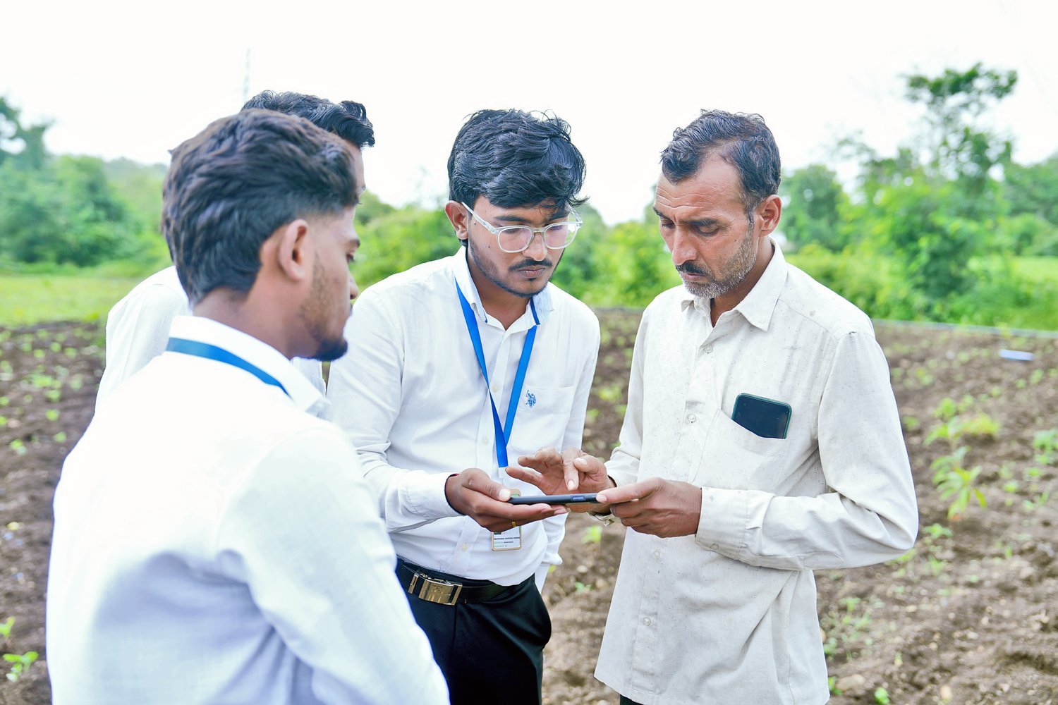 Carbon farming fields