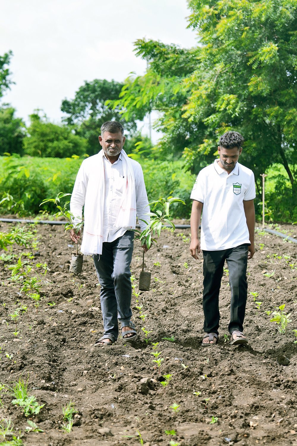 Carbon market access — farm landscape for credit issuance
