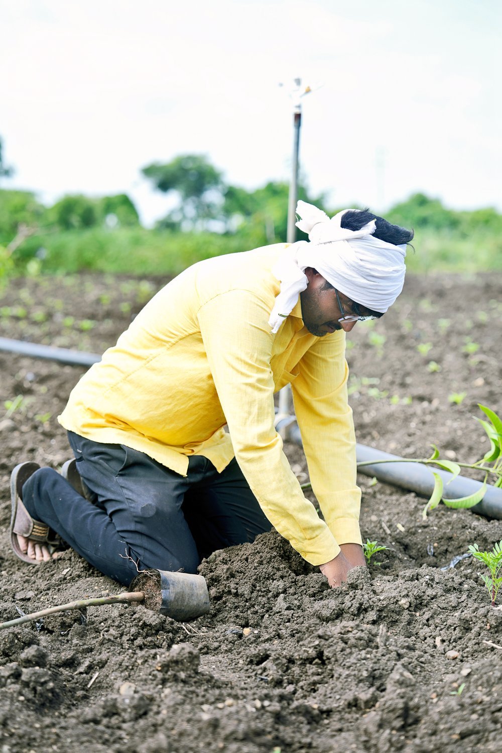 Regenerative practices designed for real farm economics